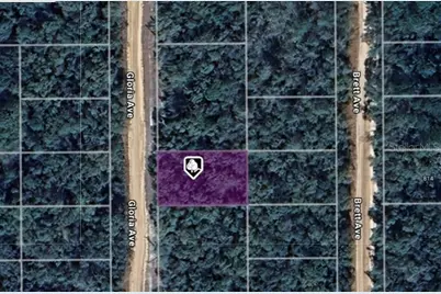 Lot 8 Gloria Avenue, Interlachen, FL 32148 - Photo 1