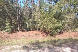 SW 67 Ln, Ocala, FL 34481 - Photo 1