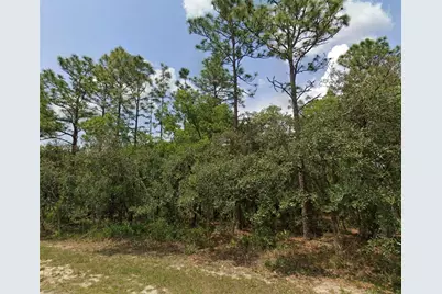 Lot 3 SW 144th Lane, Ocala, FL 34473 - Photo 1
