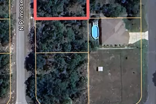 7711 N Primrose Dr, Citrus Springs, FL 34434 - Photo 1