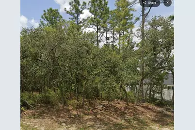 Lot 2 SW 144th Lane, Ocala, FL 34473 - Photo 1
