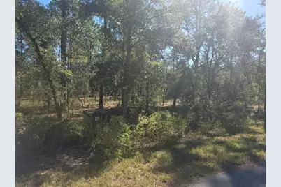 Lot 30 NW Holly Road, Dunnellon, FL 34431 - Photo 1