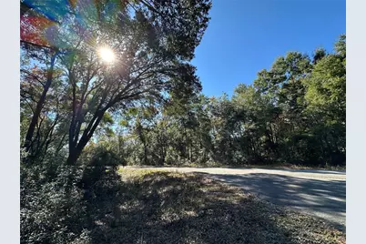 Tbd NE 152nd Terrace, Williston, FL 32696 - Photo 1