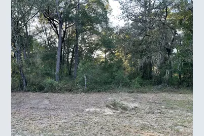 Tbd NE 155 Court, Williston, FL 32696 - Photo 1