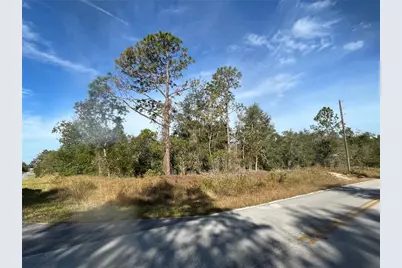 00 SW Breezy Point Drive, Dunnellon, FL 34431 - Photo 1