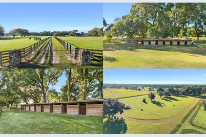 Tbd SW 100th Street, Ocala, FL 34476 - Photo 1