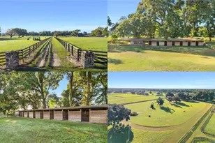 Tbd SW 100th St, Ocala, FL 34476 - Photo 1