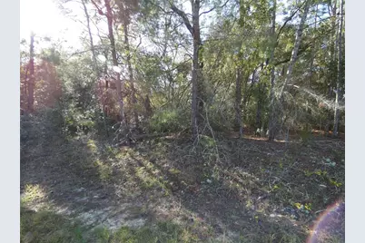 7809 N Jamaica Drive, Citrus Springs, FL 34433 - Photo 1