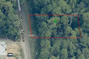 8325 N Ocoee Terrace, Crystal River, FL 34428 - Photo 1