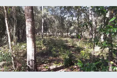 2011 Milton Street, Inverness, FL 34453 - Photo 1