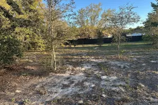 Lot 5 & 6 SW 107th St, Dunnellon, FL 34432 - Photo 1