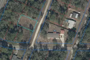 Tbd NE 154th Ave, Williston, FL 32696 - Photo 1