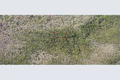 0190 County Road, Deland, FL 32724 - Photo 1