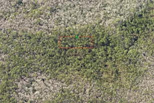 0190 County Rd, Deland, FL 32724 - Photo 1