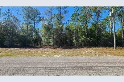 9955 N Sherman Drive, Citrus Springs, FL 34434 - Photo 1