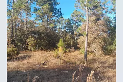 Ne 10th Street, Williston, FL 32696 - Photo 1