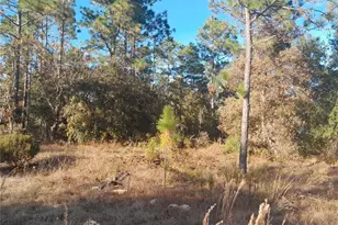 14891 NE 10 St, Williston, FL 32696 - Photo 1