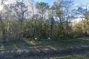 10535 Erickson Ave, Hastings, FL 32145 - Photo 1