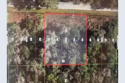 1018 N Sonia Avenue, Inverness, FL 34453 - Photo 1