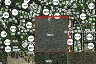 0 E Lot Ct, Citrus Springs, FL 34434 - Photo 1
