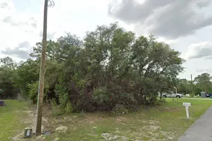 Tbd SW 155th Pl, Ocala, FL 34473 - Photo 1