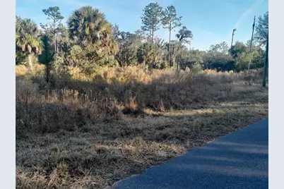 Tbd SE 110th Avenue, Inglis, FL 34449 - Photo 1