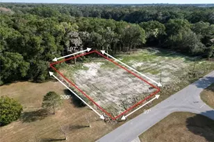 Tbd NW 47th Ave, Ocala, FL 34482 - Photo 1