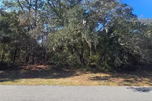 11370 N Ortega Point, Dunnellon, FL 34433 - Photo 1