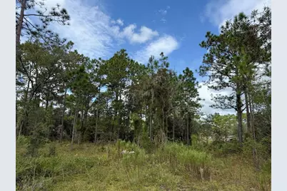 7341 SE 117th, Morriston, FL 32668 - Photo 1