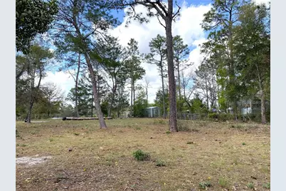 00 NE 142nd Court, Williston, FL 32696 - Photo 1