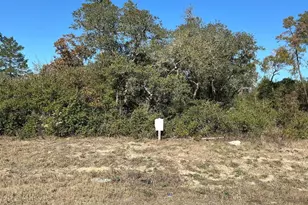 0 SW 165th Loop, Ocala, FL 34473 - Photo 1