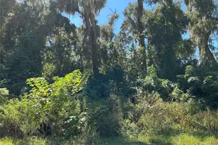 0 SE 134th Pl, Belleview, FL 34420 - Photo 1