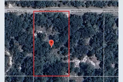 12504 W Baltic Ivy Street, Crystal River, FL 34428 - Photo 1