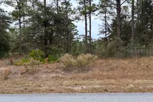 0 SW Audubon Ave, Dunnellon, FL 34431 - Photo 1