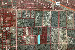 0 NE 56th St, Bronson, FL 32621 - Photo 1