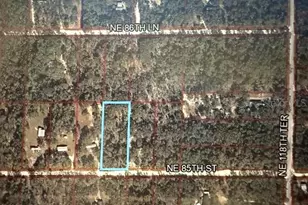0 NE 85th St, Bronson, FL 32621 - Photo 1