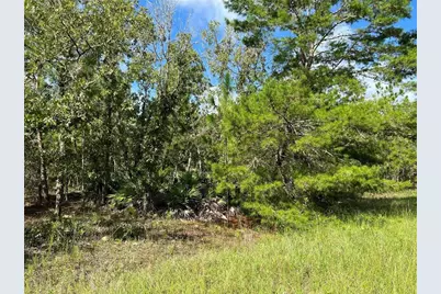 Tbd SW 93rd Street, Dunnellon, FL 34432 - Photo 1