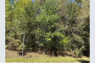 00 SE 139th Lane, Summerfield, FL 34491 - Photo 1