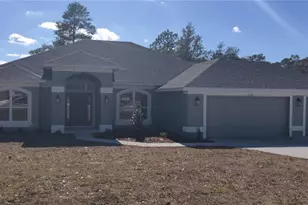 12334 Snow Goose Ave, Brooksville, FL 34614 - Photo 1