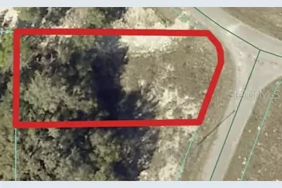00 Maple Lane, Ocklawaha, FL 32179 - Photo 1