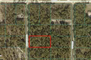Tbd SW 137th Ct Rd, Dunnellon, FL 34432 - Photo 1
