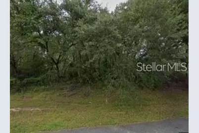 16593 SW 31st Circle, Ocala, FL 34473 - Photo 1