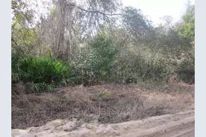 00 NE 239 Lane NE #Lot-A37, Fort Mc Coy, FL 32134 - Photo 1