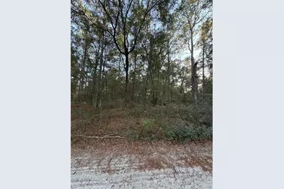 Tbd SW 150th Street, Dunnellon, FL 34432 - Photo 1