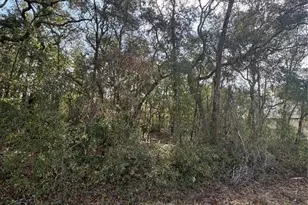 Tbd Locust Loop Terrace, Ocala, FL 34472 - Photo 1
