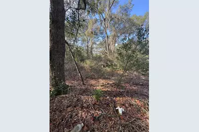 Locust Run Radial, Ocala, FL 34472 - Photo 1