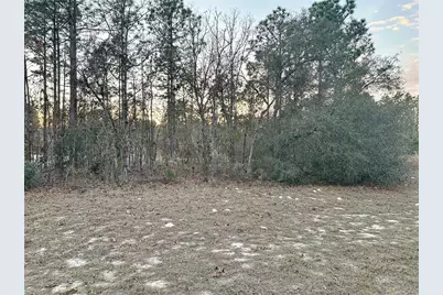 0 SW 129th Pl, Ocala, FL 34473 - Photo 1