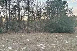 0 SW 129th Pl, Ocala, FL 34473 - Photo 1