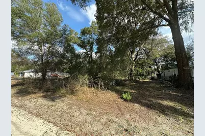 0 SE 30th Court, Summerfield, FL 34491 - Photo 1