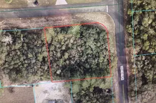 0 SW 167 St, Ocala, FL 34473 - Photo 1